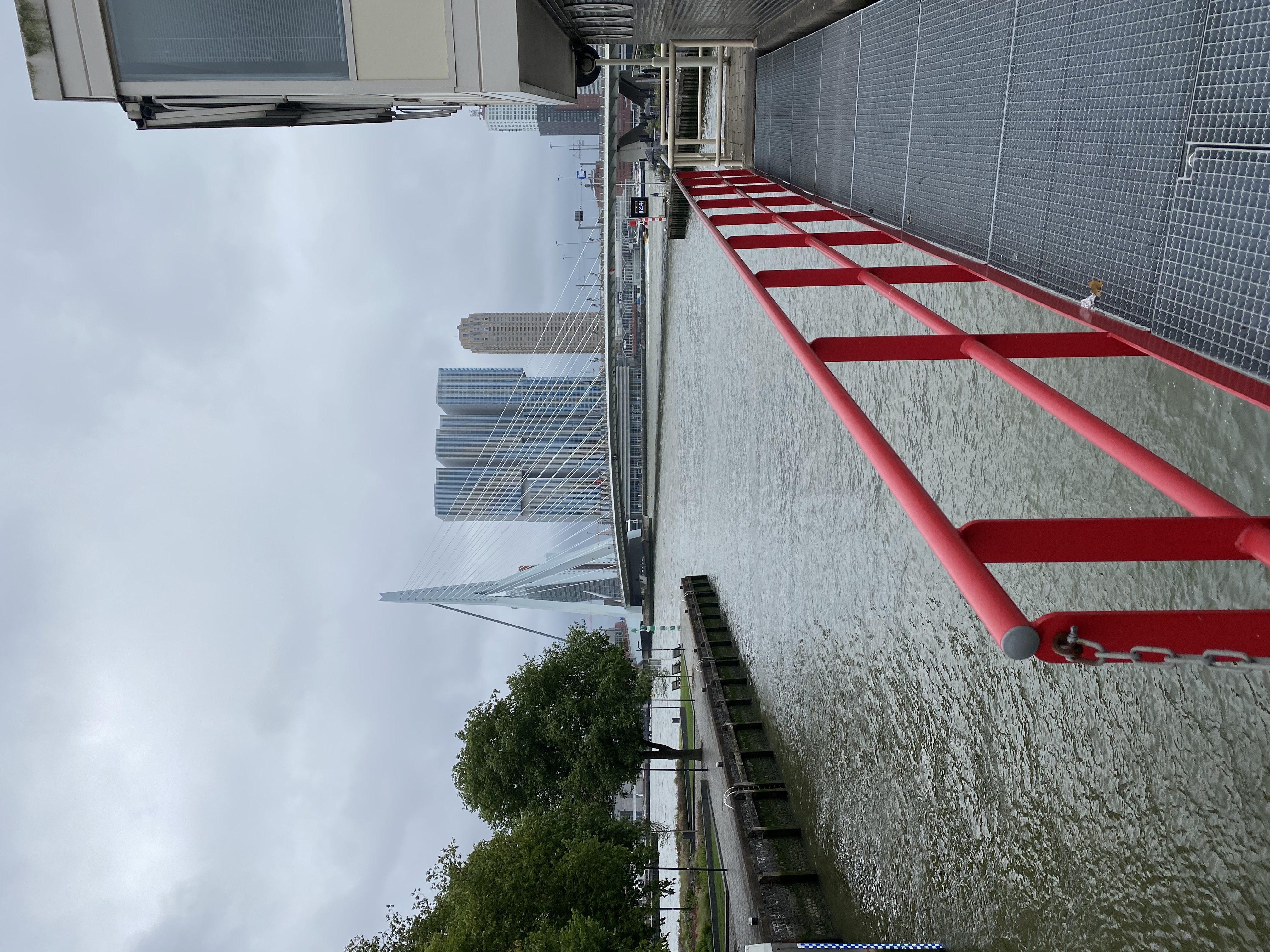 Exkursion nach Rotterdam